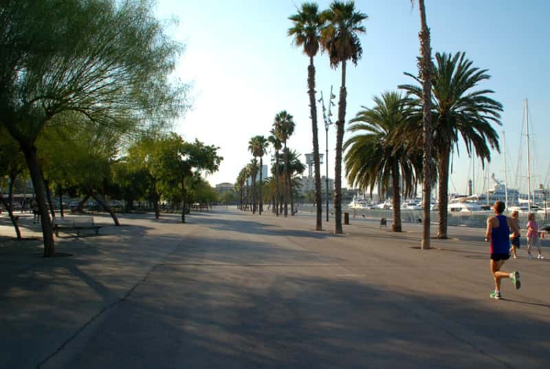 97.ª Travesía al Puerto. 7.º Trofeo Internacional Ciudad de Barcelona de Aguas Abiertas