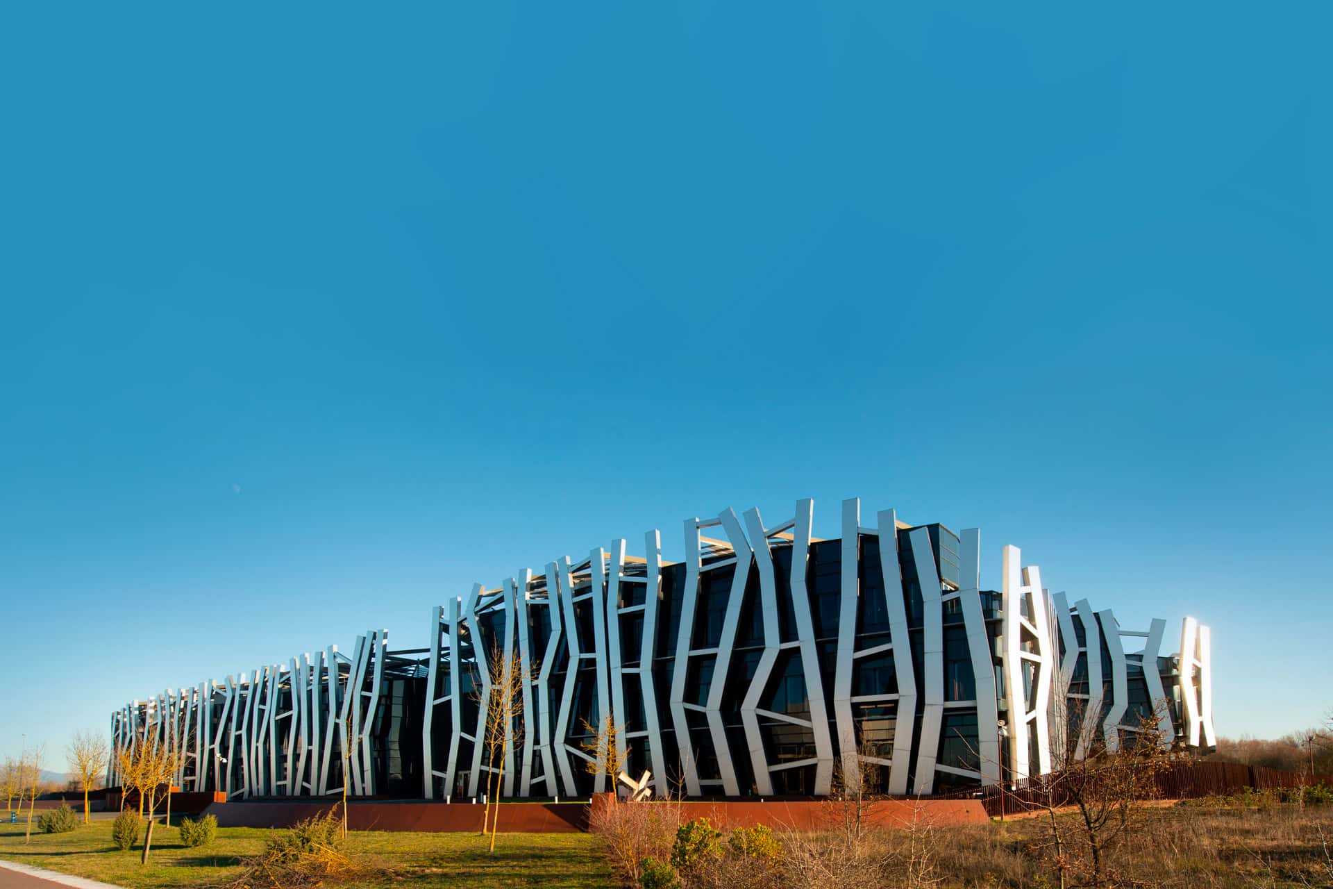 Jornada de Puertas Abiertas Online: Grado en Gestión Deportiva