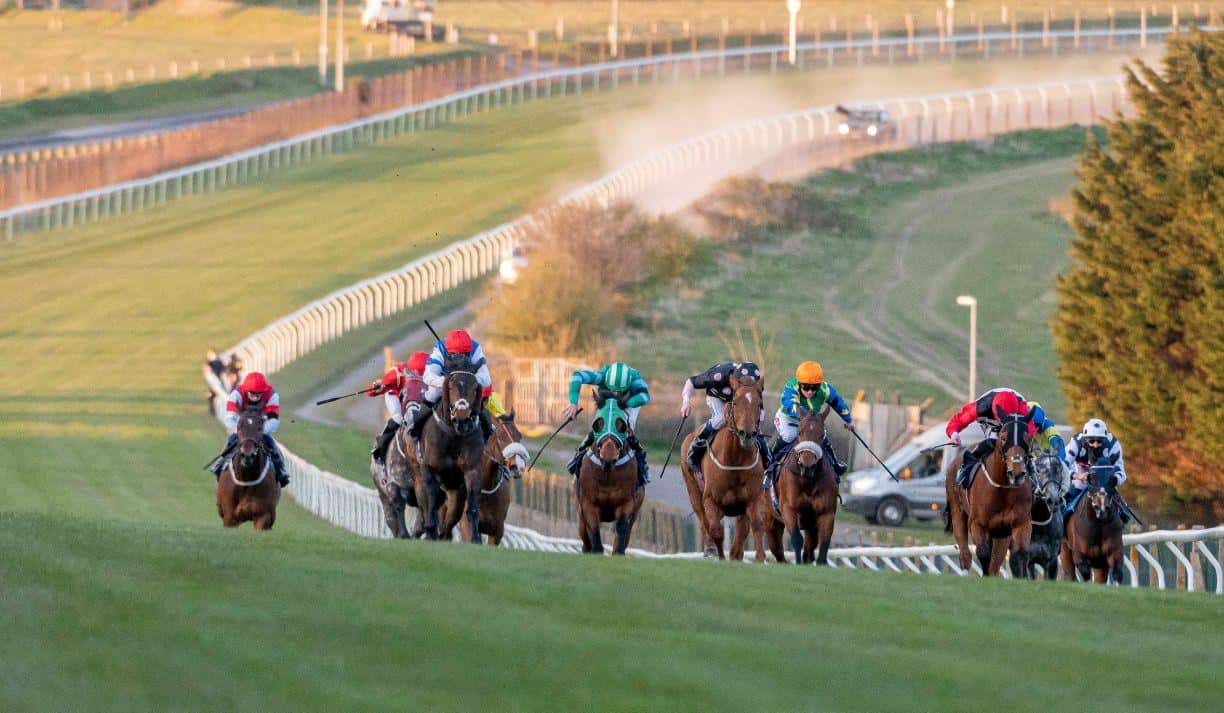 Race Meeting: Evening Flat Racing