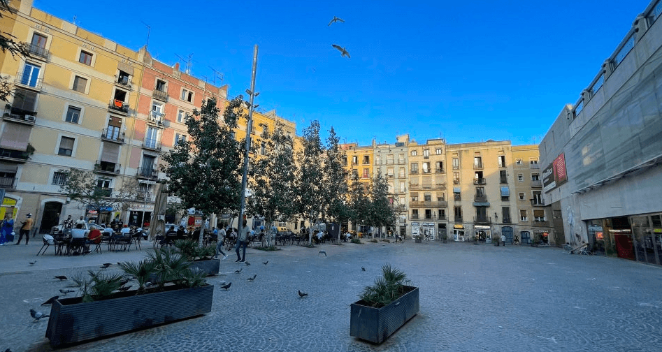 Sopar i concert a la Plaça Salvador Seguí - Festa Major del Raval