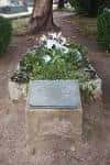 Tumba de Valle-Inclán cubierta de vegetación en el Cementerio de Boisaca