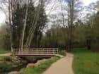 Sendero natural a través del bosque con pequeño puente de madera sobre un arroyo