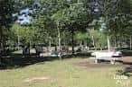Claro del bosque con mesas de picnic y área de recreo.