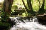 Vista de un salto de agua y rápidos en el entorno boscoso de As Brañas