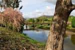 Panorámica del río Tomeza con un puente de piedra en la distancia, en un día soleado