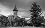 Exterior del Seminario Diocesano con su torre y un gran árbol en primer plano (Blanco y negro)
