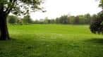 Amplia extensión de césped verde en Hove Park, ideal para eventos al aire libre