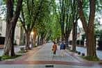 Vista del Paseo de la Senda flanqueado por grandes árboles, con personas caminando