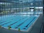Piscina cubierta olímpica dentro de las instalaciones del Polideportivo Mendizorrotza