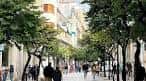 Calle del Paseo peatonal concurrida y árboles frondosos en verano