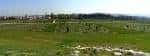 Panorámica de los extensos campos verdes del Jardín Botánico de Olárizu