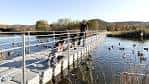 Plataforma flotante sobre el estanque con patos, un área de interés acuático