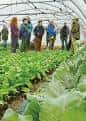 Grupo de personas en una visita guiada dentro de un invernadero de cultivo