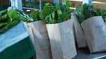 Bolsas de papel llenas de hortalizas de hoja verde recién cosechadas