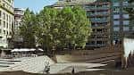 Vista de la Plaza de los Fueros con árboles frondosos y edificios circundantes