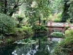 Estanque rodeado de vegetación exuberante con un pequeño puente de ladrillo en el Jardín Botánico Atlántico