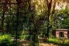 Sendero sombreado en el jardín con vegetación abundante y un pequeño pabellón histórico
