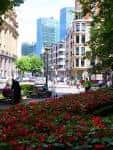 Primer plano de flores rojas con vistas a la arquitectura urbana de Bilbao desde el parque