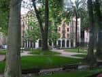 Paseos sombreados y bancos entre árboles en el corazón de los Jardines de Albia
