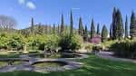Paisaje del jardín con estanques ornamentales y variada vegetación bajo un cielo despejado