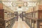 Vista interior de la biblioteca con estanterías de madera y paredes decoradas