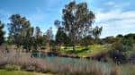 Vista de la zona de humedales y vegetación autóctona del parque