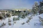 Paisaje natural de montaña con bosques de pinos cubiertos de nieve