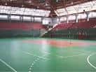 Cancha interior con superficie de juego verde y zona de asientos para el público