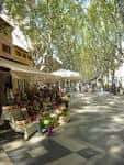 Puestos de flores típicos situados a lo largo del paseo de La Rambla