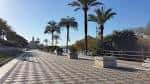Perspectiva del paseo peatonal con palmeras y pavimento de diseño geométrico