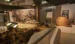 Interior de la zona de exhibición con piezas arqueológicas y diseño museográfico moderno