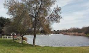 Vista del lago del parque con un pantalán de madera y vegetación circundante