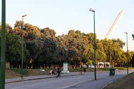 Paseo peatonal arbolado con iluminación y vistas al puente atirantado