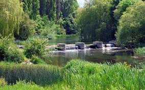 Pequeña cascada en un cauce fluvial rodeado de vegetación frondosa