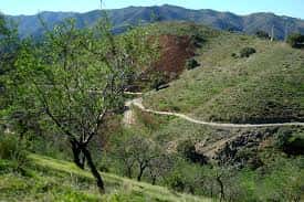 Sendero rural a través de las colinas verdes del Parque Natural Montes de Málaga