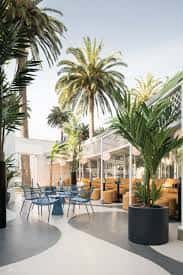 Terraza exterior con mobiliario moderno, palmeras y zona de asientos acolchados
