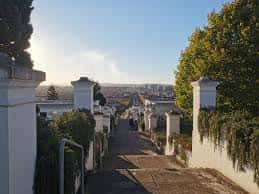 Vista panorámica de los senderos del cementerio con la ciudad de Gijón al fondo