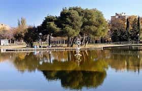 Estanque del parque con reflejos de los árboles en el agua