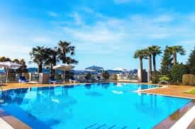 Piscina exterior rodeada de palmeras y zona de solárium con tumbonas