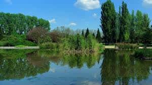 Paisaje del lago con reflejos de los árboles bajo un cielo despejado