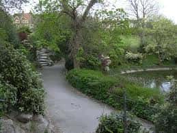 Sendero arbolado y vegetación exuberante junto al estanque del parque