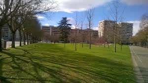 Vista panorámica de las praderas y el arbolado del parque