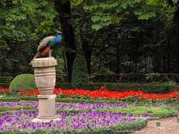 Jardines ornamentales con flores de colores y un pavo real sobre un pedestal