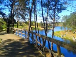 Pasarela de madera entre árboles con vistas al Embalse de Cachamuíña