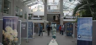 Espacio interior diáfano con zona de exposiciones y techos acristalados