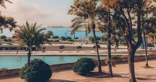 Paseo con palmeras y vistas a la bahía desde el Parc de la Mar
