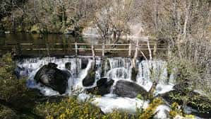 Pequeña cascada y represa de agua en un paraje natural frondoso