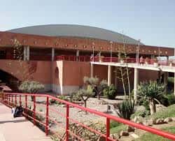 Fachada del pabellón deportivo con detalles arquitectónicos y vegetación
