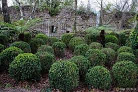 Jardines formales con setos redondeados y muros de piedra en el parque
