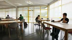 Sala de estudio del Centro Municipal con personas trabajando en mesas y grandes ventanales